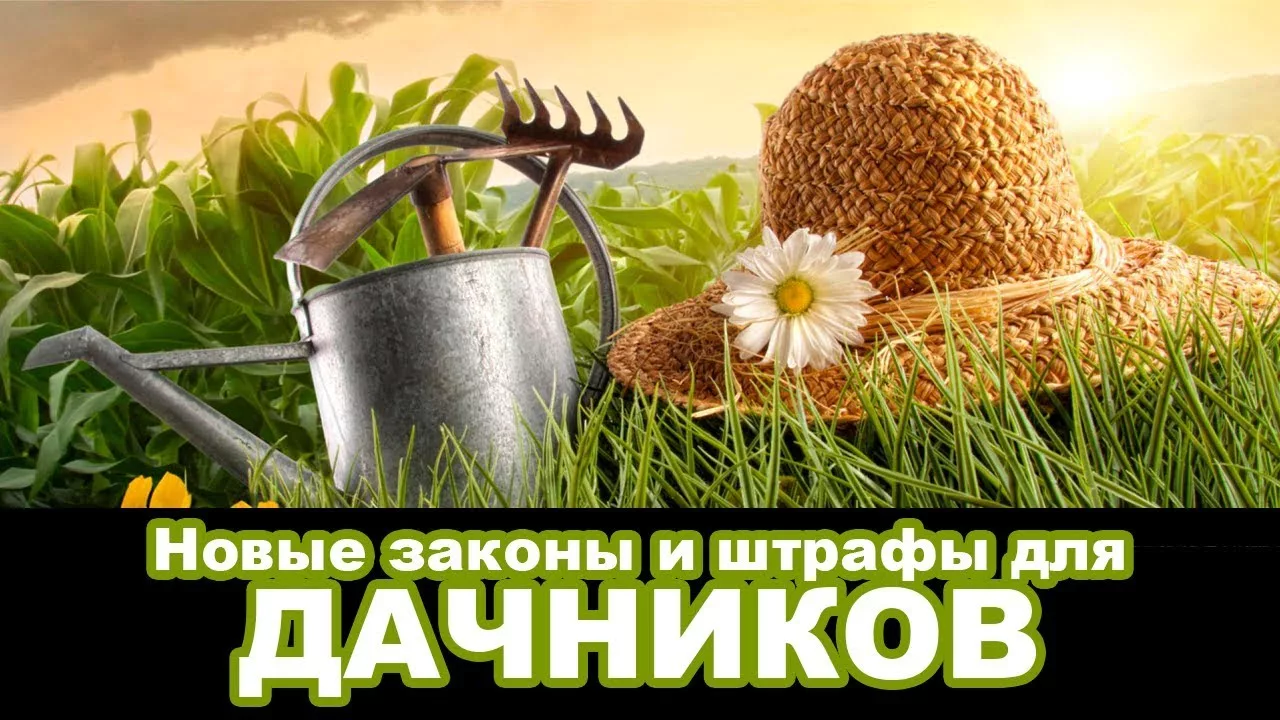 За что и на сколько будут штрафовать дачников в 2025 году: 10 новых штрафов